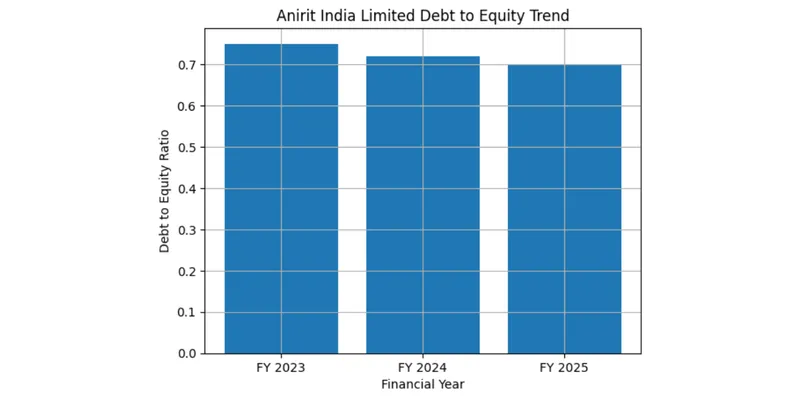 Debt Position of Anirit India Limited